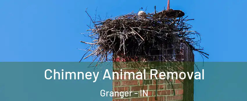 Chimney Animal Removal Granger - IN