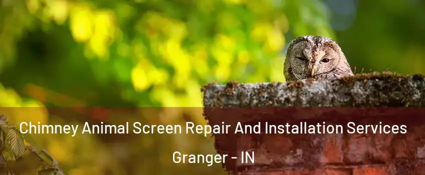  Chimney Animal Screen Repair And Installation Services Granger - IN