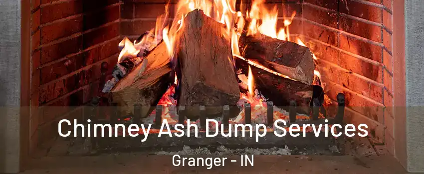  Chimney Ash Dump Services Granger - IN