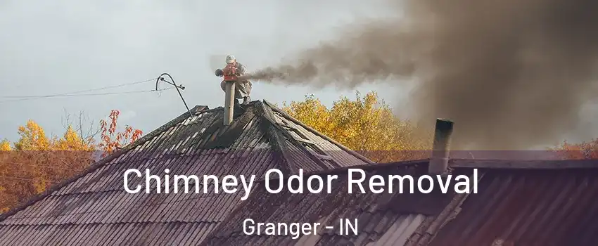  Chimney Odor Removal Granger - IN