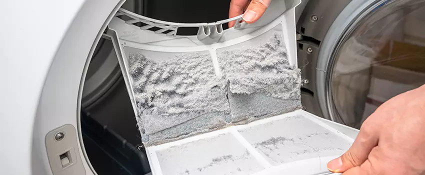 Best Dryer Lint Removal Company in Granger, Indiana