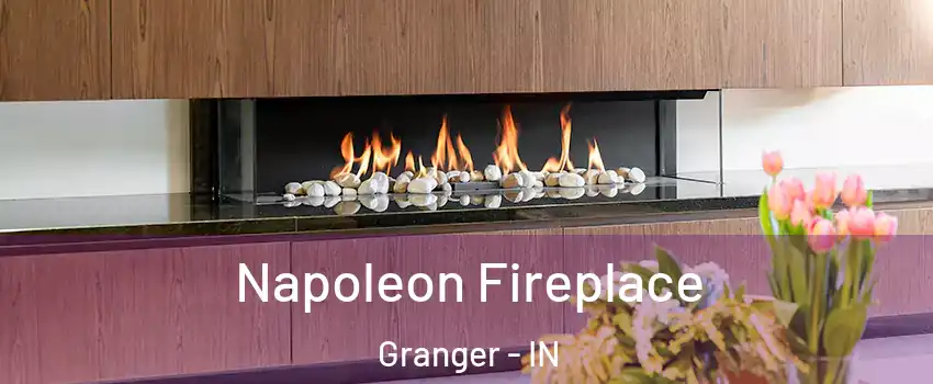  Napoleon Fireplace Granger - IN